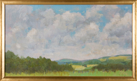 FIELD STUDY