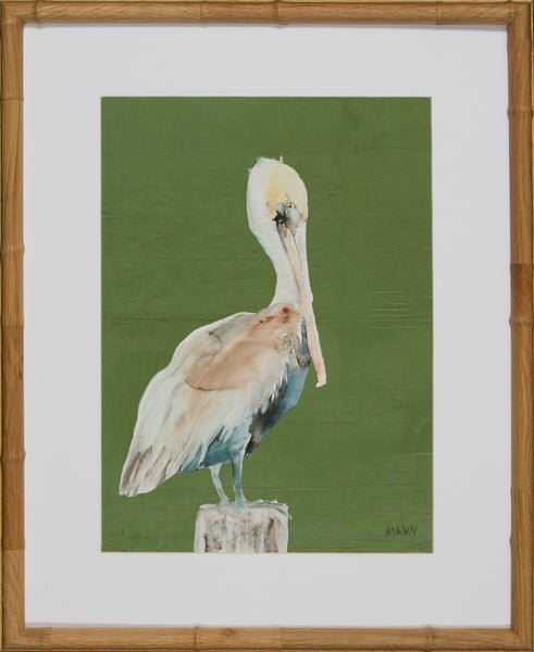PELICAN I