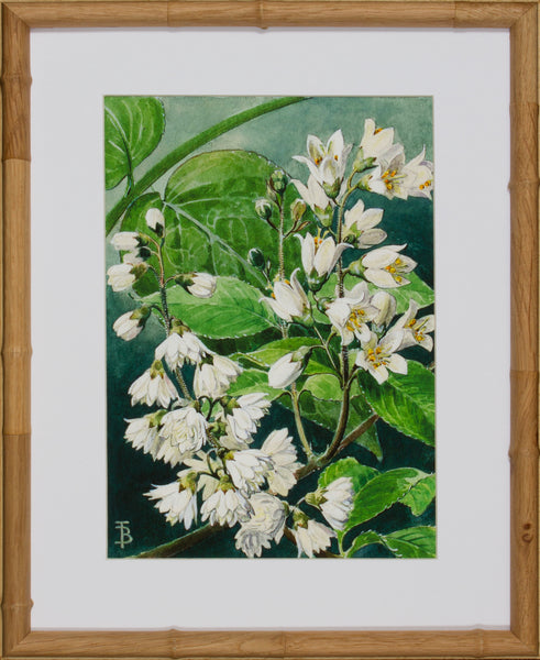 BLOOM STUDY 1