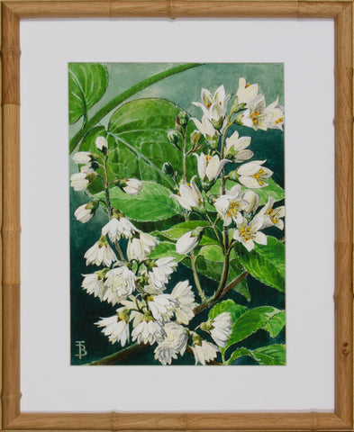 BLOOM STUDY 1