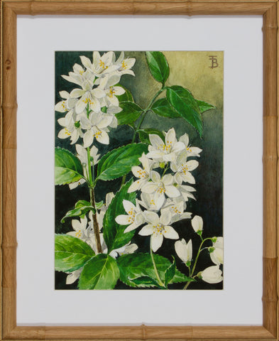 BLOOM STUDY 2