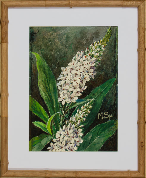 BLOOM STUDY 3