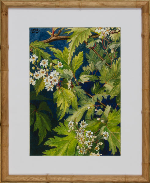 BLOOM STUDY 5