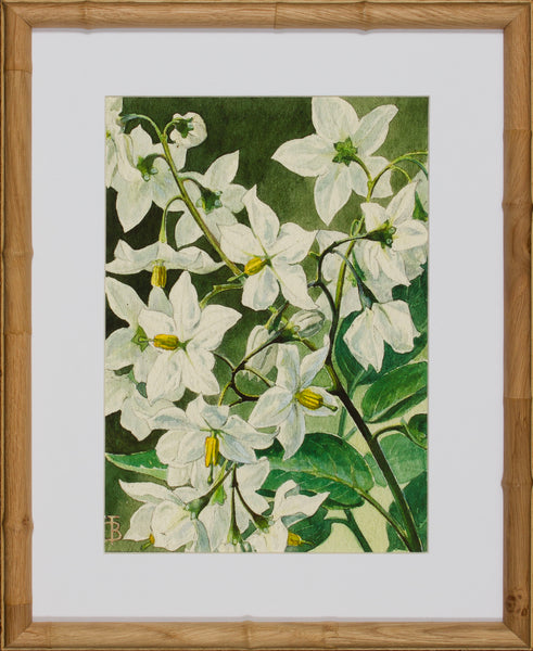 BLOOM STUDY 7