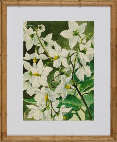 BLOOM STUDY 7