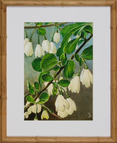 BLOOM STUDY 8