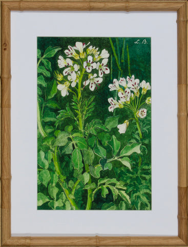 BLOOM STUDY 9