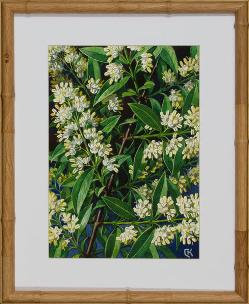 BLOOM STUDY 10
