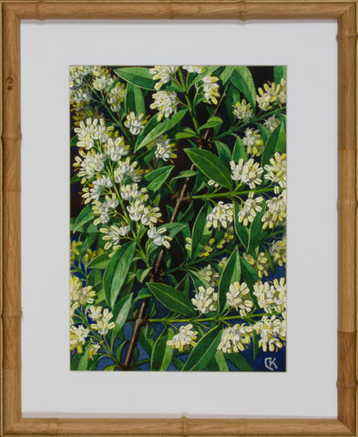BLOOM STUDY 10