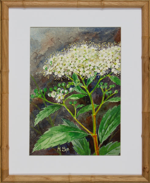 BLOOM STUDY 11