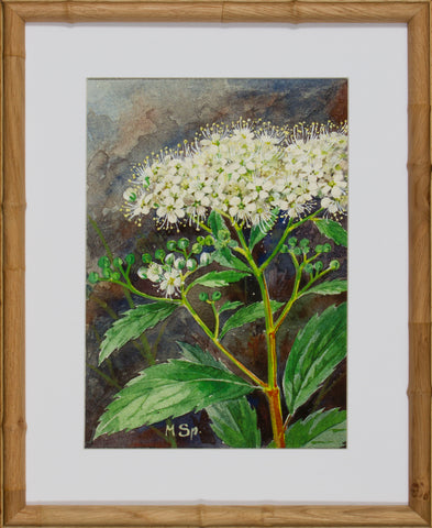 BLOOM STUDY 11