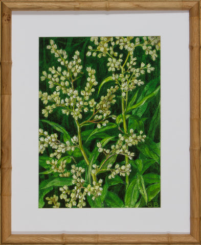 BLOOM STUDY 12