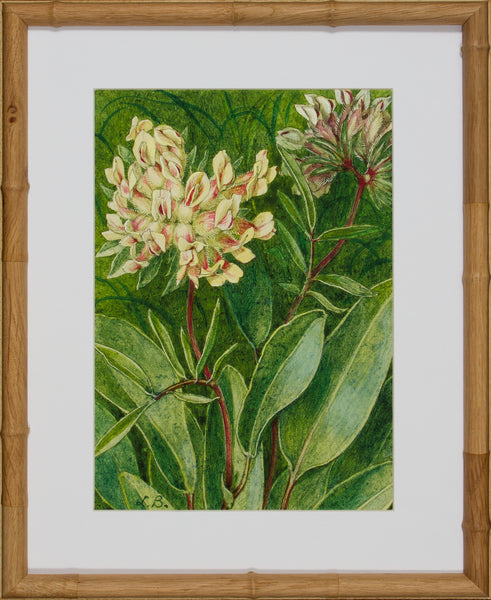 BLOOM STUDY 13