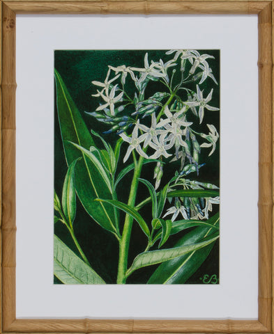 BLOOM STUDY 14