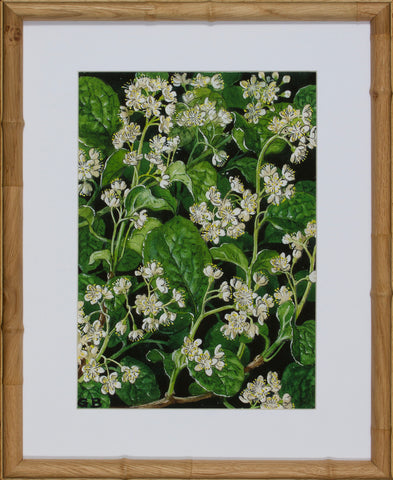 BLOOM STUDY 15