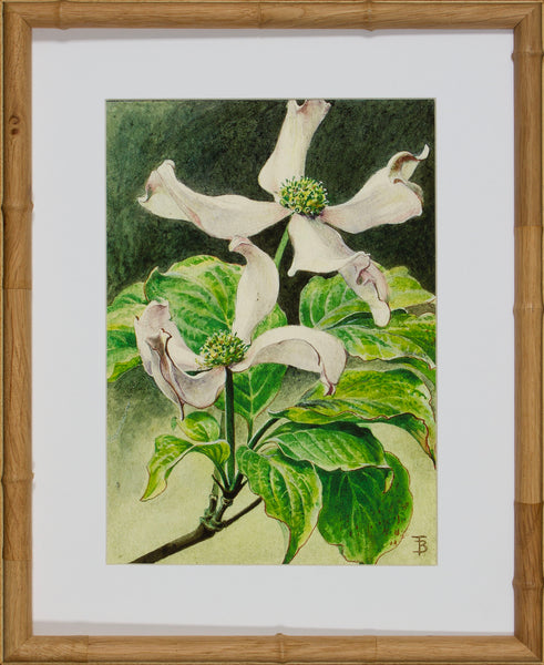 BLOOM STUDY 16