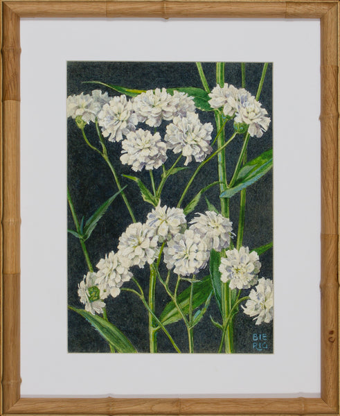 BLOOM STUDY 17