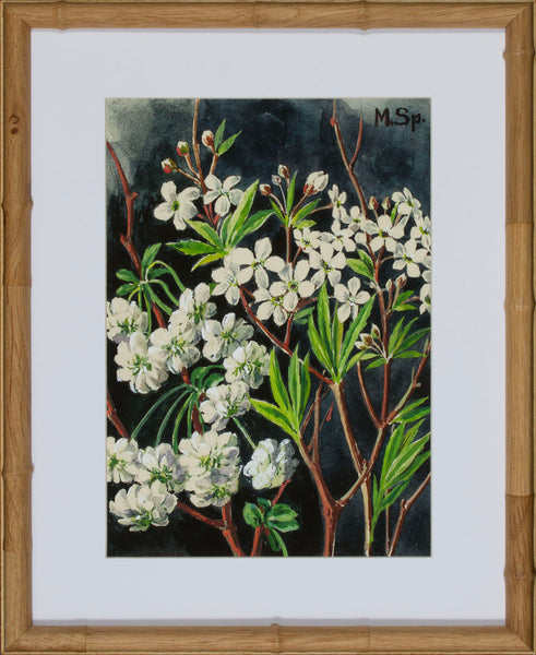BLOOM STUDY 19