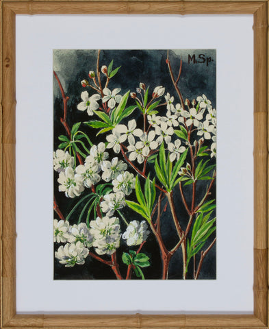 BLOOM STUDY 19