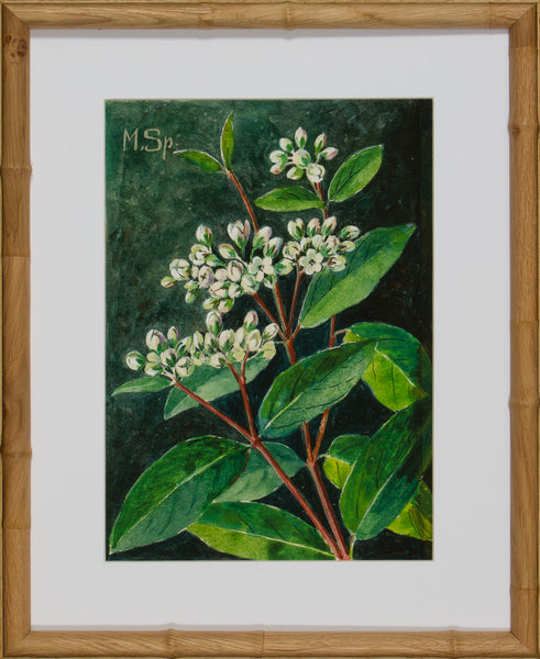BLOOM STUDY 21