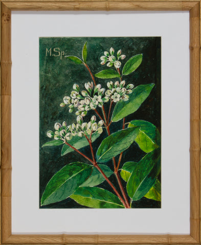 BLOOM STUDY 21