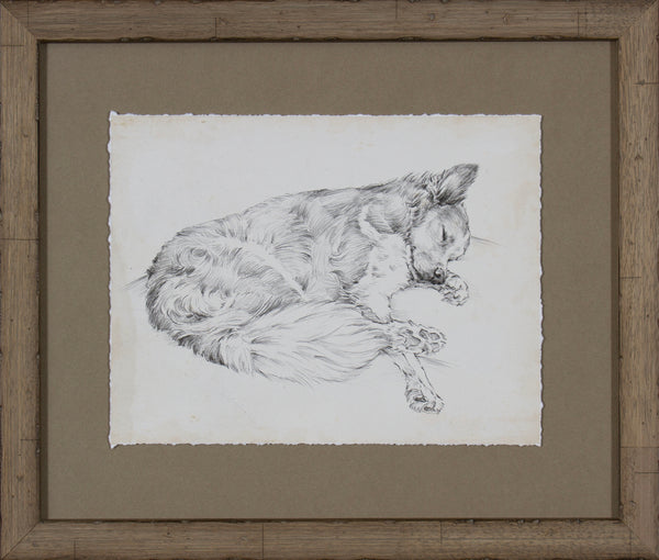 ANTIQUE DOG STUDY II