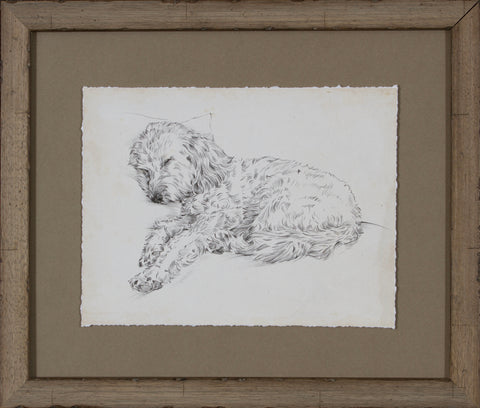 ANTIQUE DOG STUDY III