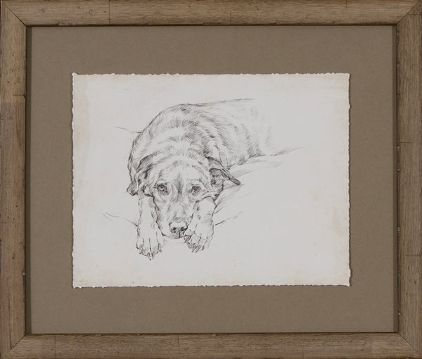 ANTIQUE DOG STUDY IV