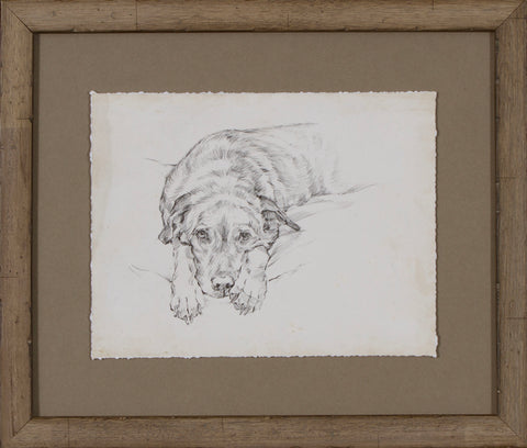 ANTIQUE DOG STUDY IV