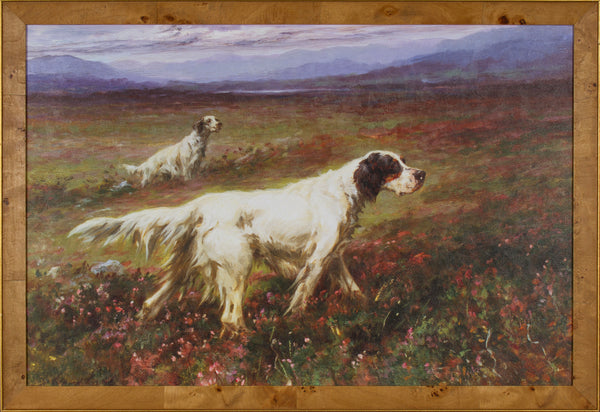 SETTERS ON THE MOORS
