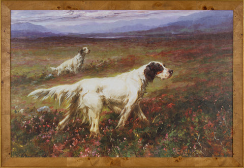SETTERS ON THE MOORS