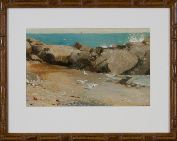 ROCKY COAST