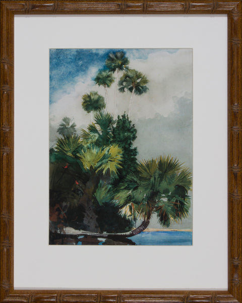 PALM TREES