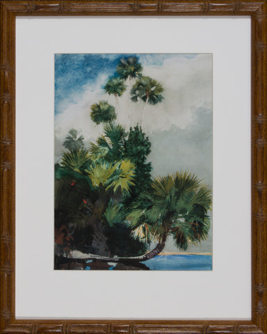 PALM TREES
