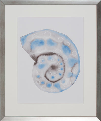 AURORA SHELL I
