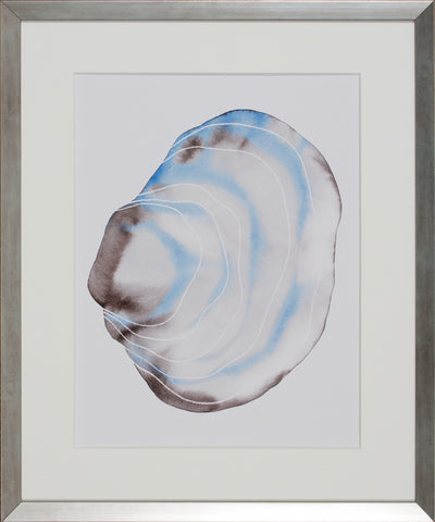 AURORA SHELL II