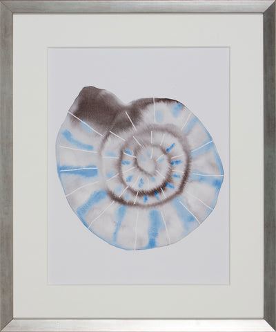 AURORA SHELL IV