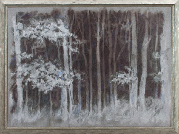 ENCHANTED FOREST
