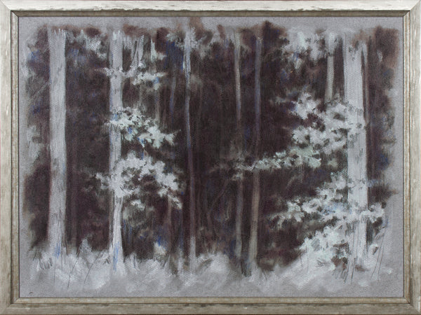 MYSTIC WOODS