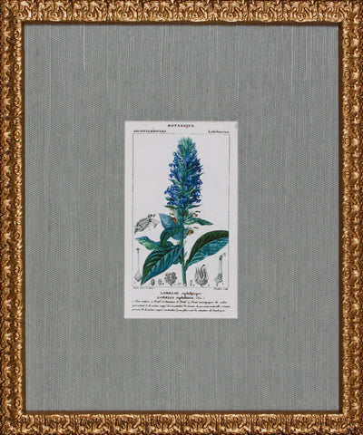 ANTIQUE BOTANA II