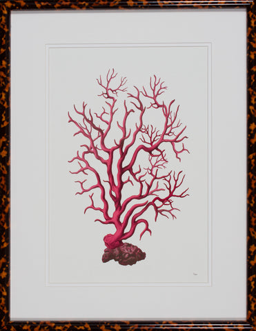 CORAL SEAS I
