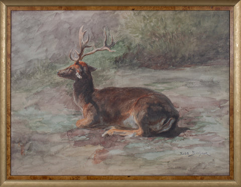 RECUMBENT STAG