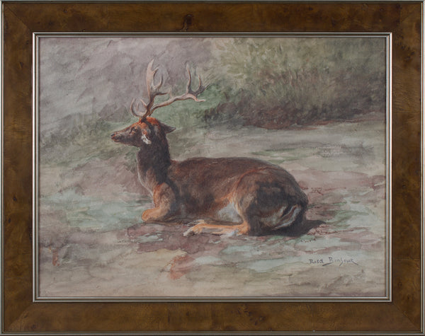 RECUMBENT STAG MINI