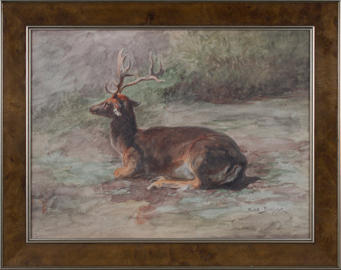 RECUMBENT STAG MINI