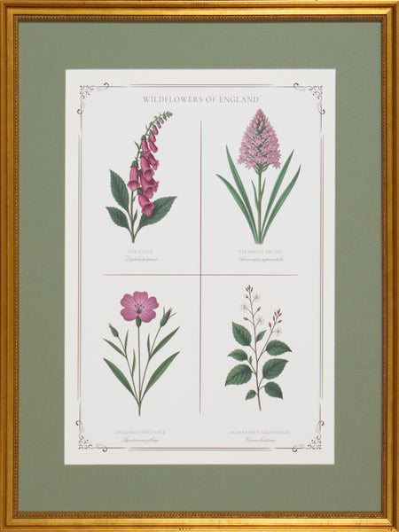 PINK BOTANICAL