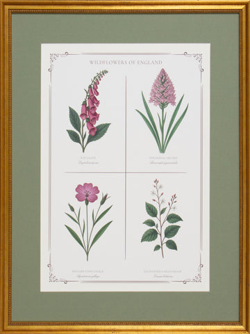 PINK BOTANICAL