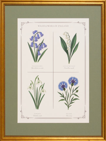 BLUE BOTANICAL