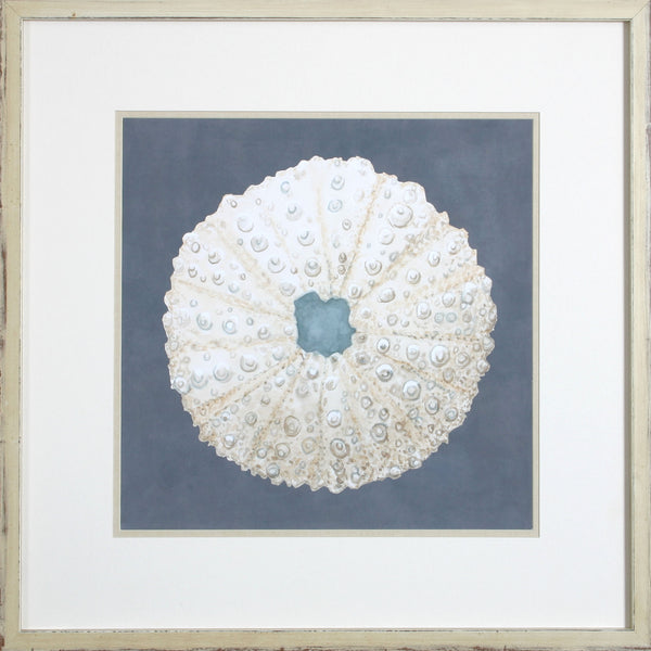 SHELL ON SLATE VII – Shadow Catchers Art