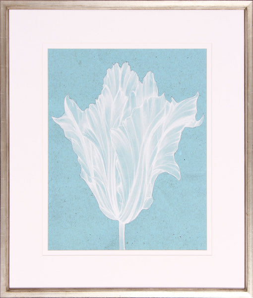 Monochrome Tulip V