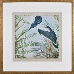 HERON & FERNS I